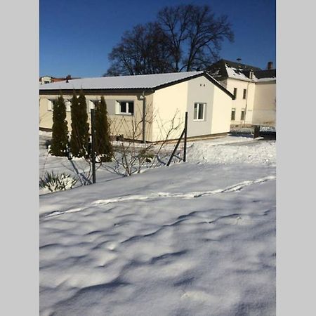 Вилла Elegantes Haus Im Dresdner Sueden Банневиц Экстерьер фото